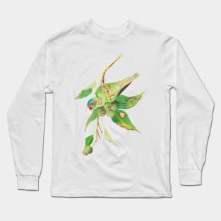 Musk lorikeet and gumtree branch with gumnuts watercolour painting Long Sleeve T-Shirt